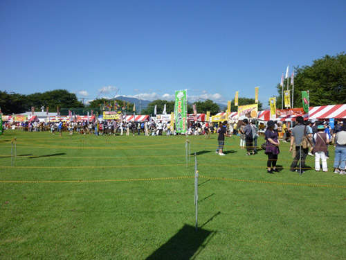 日本『B級美食』祭典！平民好滋味～