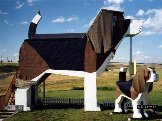 貨真價實的狗窩 貨真價實的狗窩