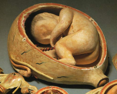 超驚悚的人體模型玩具! 超驚悚的人體模型玩具!