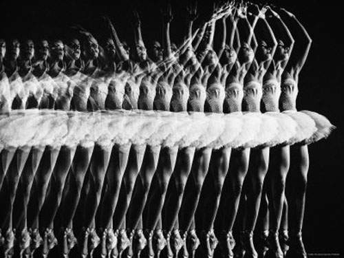 連續動作照片大展