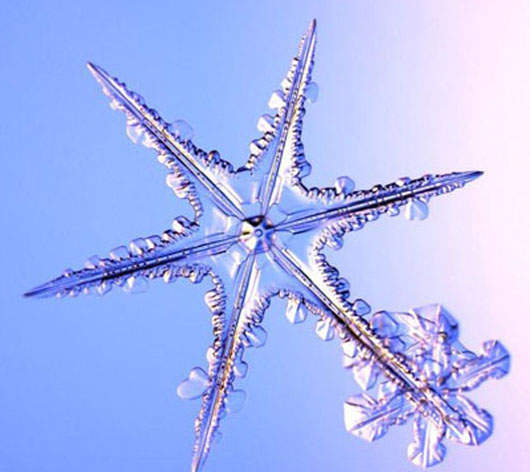 《超美雪結晶圖》雪是長這樣的！