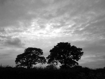 自殺歌曲《黑色星期天》