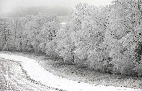 冷~還要更冷 雪國照片集 冷~還要更冷 雪國照片集