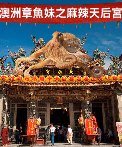 章魚妹 卡珊德拉之麻辣天后宮也很夯