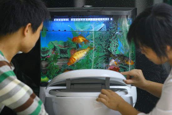 魚缸妹之設缸DIY教學 魚缸妹之設缸DIY教學