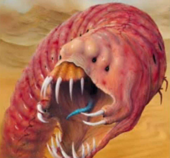 真實存在!蒙古死亡蠕蟲攻擊布拉格 真實存在!蒙古死亡蠕蟲攻擊布拉格