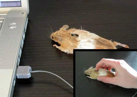 讓辦公室不再乏味 買支趣味滑鼠吧 讓辦公室不再乏味 買支趣味滑鼠吧