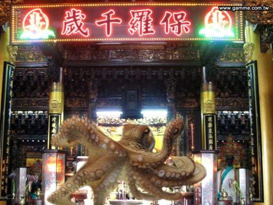 第一座章魚哥保羅廟在台落成,百萬粉絲感動到哭了! 第一座章魚哥保羅廟在台落成,百萬粉絲感動到哭了!
