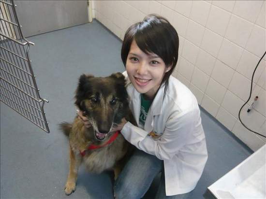 〝 劉乃潔〞 乃姬 最美獸醫 台大五姬之首電暈桃太郎