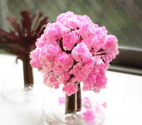 桌上小物:魔法櫻花 桌上小物:魔法櫻花