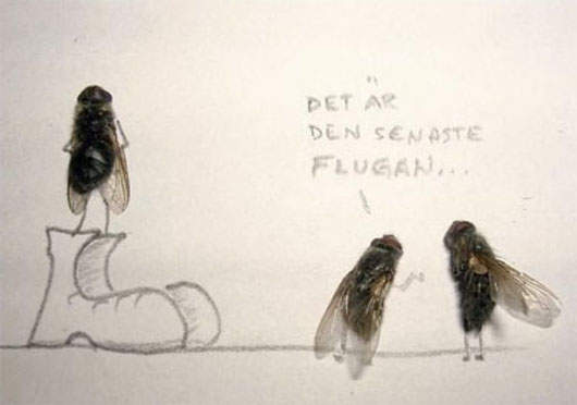 大家用《蒼蠅標本》來玩玩看吧~