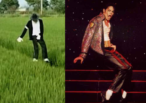 蛤？！天王麥克二轉改當農夫顧田？