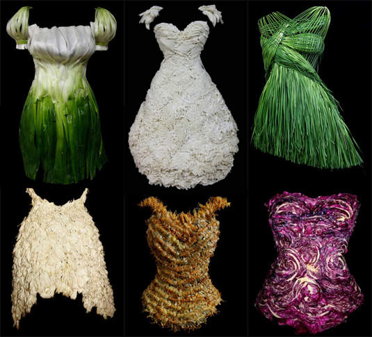 我要吃光你身上的衣服(羞) 我要吃光你身上的衣服(羞)