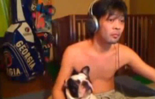 胳肢香醺狗 鬥牛犬的悲劇 胳肢香醺狗 鬥牛犬的悲劇