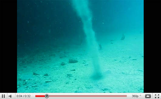 2010日本雅虎〝不思議的影片〞網友票選10大影片