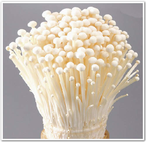 《金針菇冰》日本繼香蕉後的下一個減肥聖品!? 《金針菇冰》日本繼香蕉後的下一個減肥聖品!?