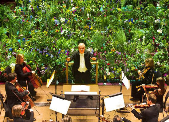 管弦樂團觀眾綠~油~油~ 管弦樂團觀眾綠~油~油~