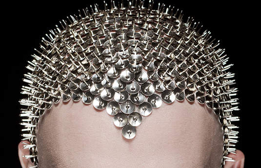 頂上除了開花,還能開別的呢~~ 頂上除了開花,還能開別的呢~~