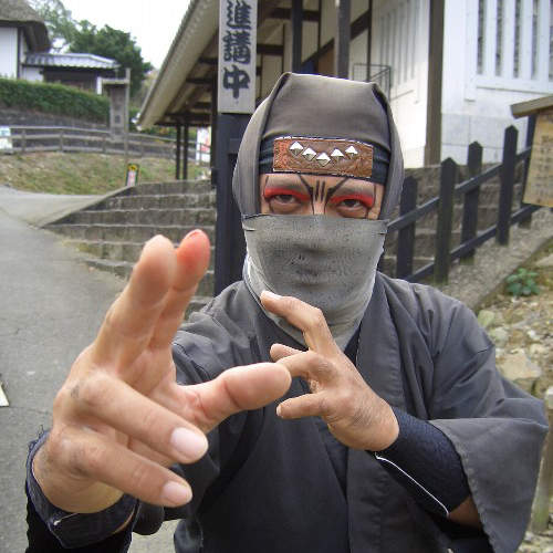 俄羅斯大流行!? 《忍者學園》開班授課囉! 俄羅斯大流行!? 《忍者學園》開班授課囉!