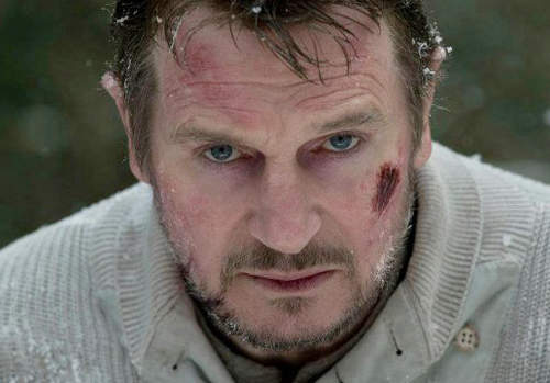 即刻獵殺 看連恩尼遜使出鑽石星塵拳(誤) 即刻獵殺 看連恩尼遜使出鑽石星塵拳(誤)