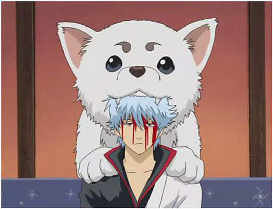 銀魂《定春帽》實體化!不要再啃我的頭了>< 銀魂《定春帽》實體化!不要再啃我的頭了><