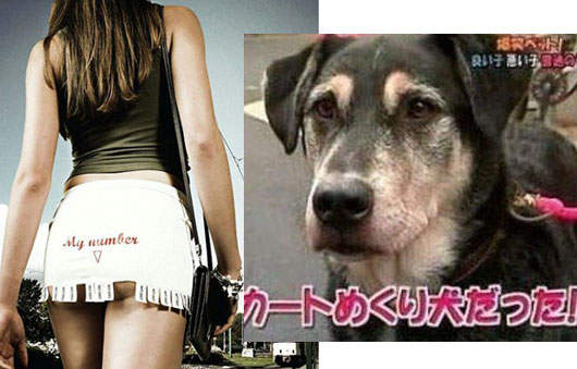 日本變態狗 喜歡掀女生迷你裙⊙ω⊙
