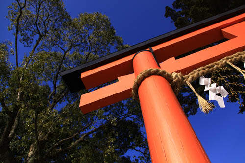 日本《怪怪神社》大集合！