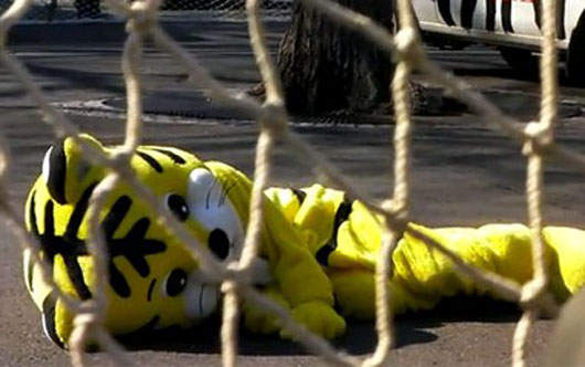 《日本動物園》 防止動物脫逃訓練 : 十分有趣 《日本動物園》 防止動物脫逃訓練 : 十分有趣