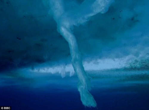 驚心動魄！《死亡冰柱》現身摧毀海底生物！