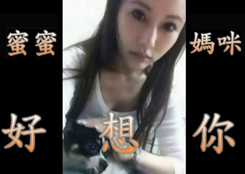 協詢愛犬 蜜蜜不見了!請三重區的朋友留意一下 協詢愛犬 蜜蜜不見了!請三重區的朋友留意一下