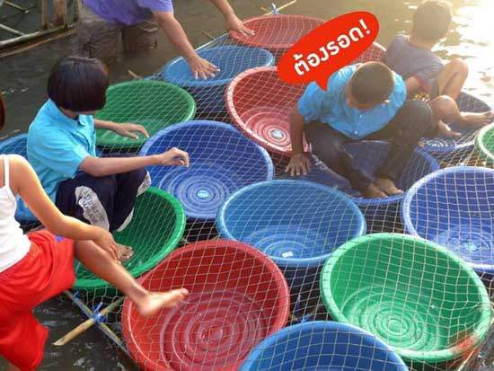 洪水中的智慧 泰國人的天才發明