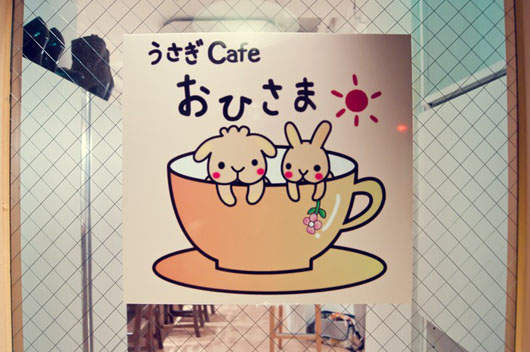 《兔子咖啡店》邊看兔子邊喝咖啡♥