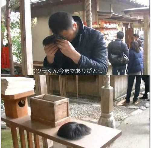 為什麼他要特地把假髮拿去京都的神社裡供養呢？