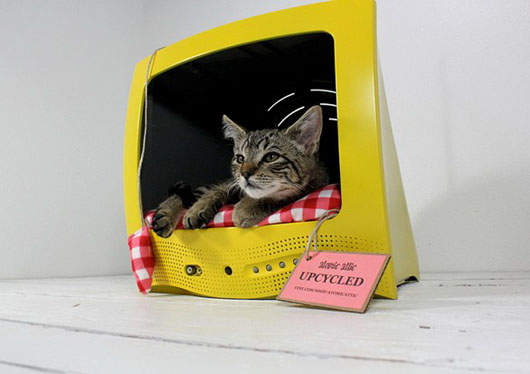 廢箱變貓窩?!轉變成超有Fu的貓咪窩~喵  廢箱變貓窩?!轉變成超有Fu的貓咪窩~喵