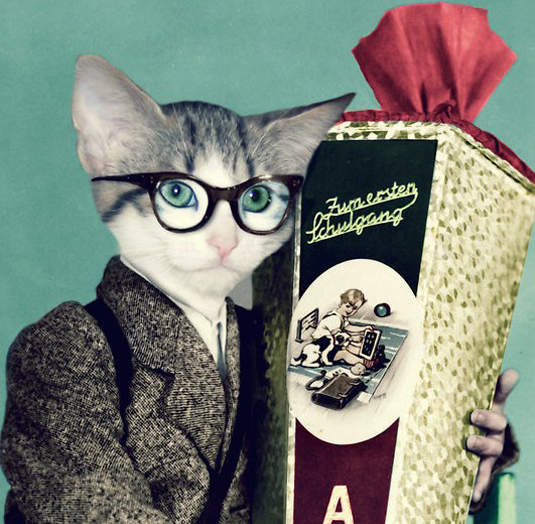 動物擬人化藝術家:Martine Roch 動物擬人化藝術家:Martine Roch