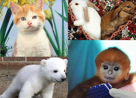 還在幻想你的婚姻生活嗎？！先在這邊測驗看看吧～