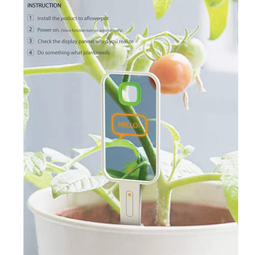 需要澆水嗎？問一下你的植物就知道！