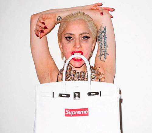 SUPREME x GAGA 最新潮流形象照 SUPREME x GAGA 最新潮流形象照