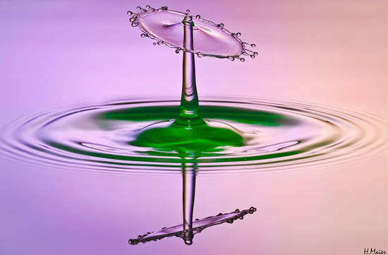 晶瑩剔透《水滴藝術》!我還以為是香菇呢... 晶瑩剔透《水滴藝術》!我還以為是香菇呢...