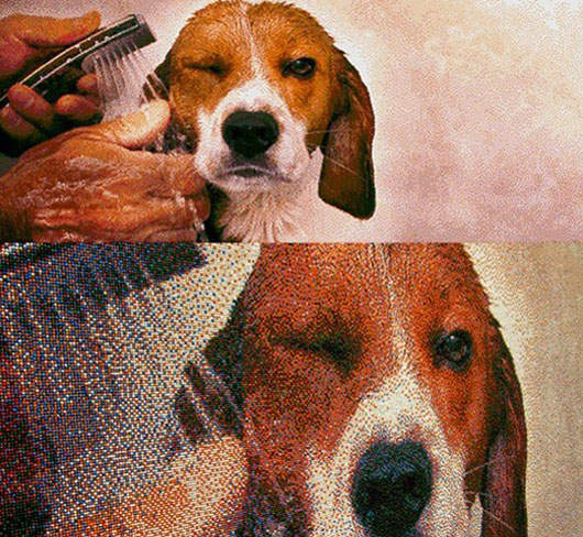 《 糖果照片》不知小孩子會不會喜歡❤