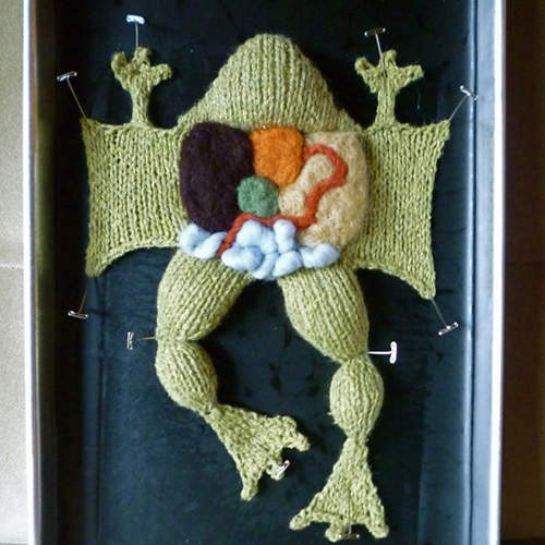 好可愛~可是又好殘忍的《解剖編織娃娃》 好可愛~可是又好殘忍的《解剖編織娃娃》