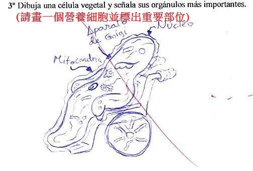 讓老師吐血的爆笑考卷! 讓老師吐血的爆笑考卷!