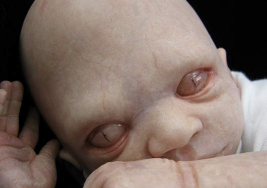 超逼真嬰兒玩偶:《再生娃娃》 超逼真嬰兒玩偶:《再生娃娃》