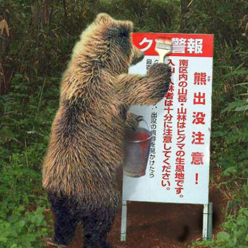 被熊襲擊時 除了裝死還有這個方法... 被熊襲擊時 除了裝死還有這個方法...