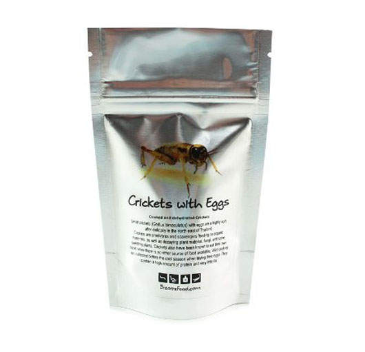 真的可以吃嗎?可以!用昆蟲做的食品  真的可以吃嗎?可以!用昆蟲做的食品