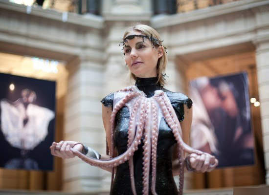 食物與時尚的結合 把章魚穿上身吧… 食物與時尚的結合 把章魚穿上身吧…