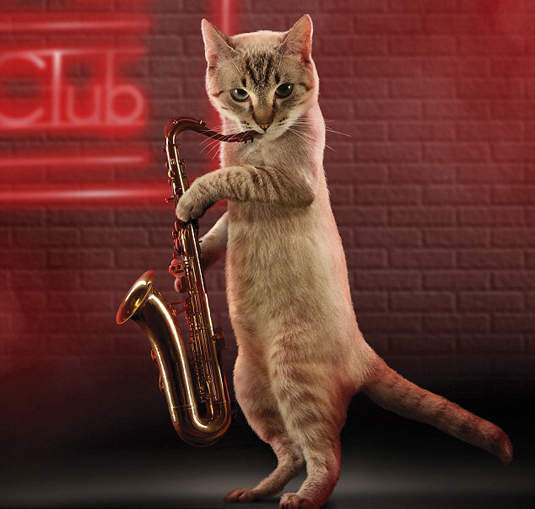 貓的!準備好 2012 年的新月曆了嗎? 貓的!準備好 2012 年的新月曆了嗎?