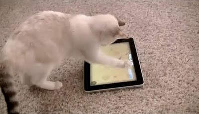 好野貓專用:貓咪iPad遊戲 好野貓專用:貓咪iPad遊戲