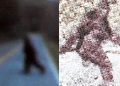 真的存在？美國軍人目擊《大腳怪》出沒