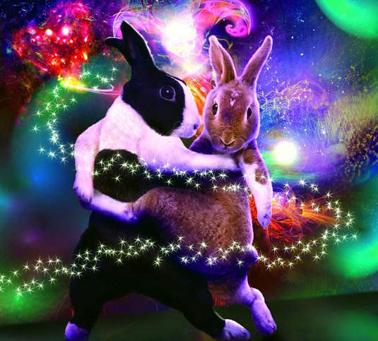 《可愛跳舞兔》超專業Dancer ~ 好勁呀!★ 《可愛跳舞兔》超專業Dancer ~ 好勁呀!★